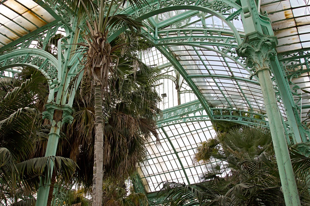 Serres royales de Laeken Koninklijke laken Koninklijk belgie serre kasteel hdr art nouveau tuin bloemen bloem architect Alphonse Balat Koning Leopold II plantencollectie